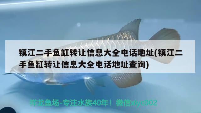 镇江二手鱼缸转让信息大全电话地址(镇江二手鱼缸转让信息大全电话地址查询) 高背金龙鱼