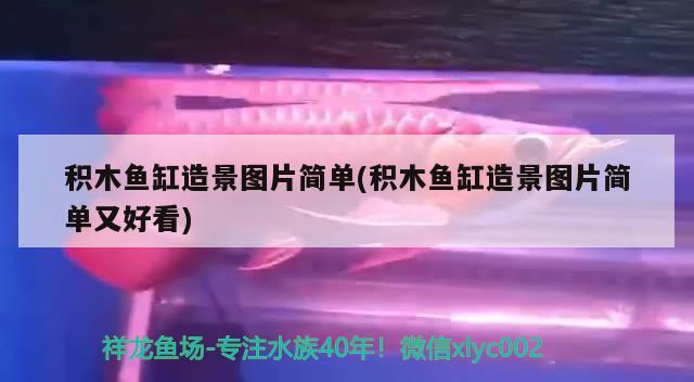 积木鱼缸造景图片简单(积木鱼缸造景图片简单又好看)