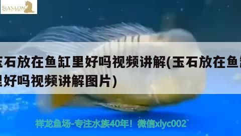 玉石放在鱼缸里好吗视频讲解(玉石放在鱼缸里好吗视频讲解图片)