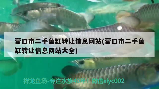 营口市二手鱼缸转让信息网站(营口市二手鱼缸转让信息网站大全) 泰庞海鲢鱼