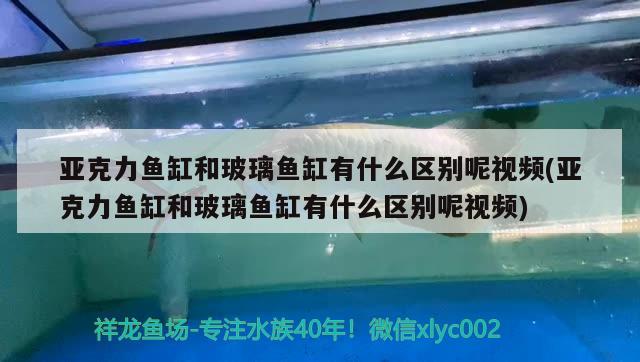 亚克力鱼缸和玻璃鱼缸有什么区别呢视频(亚克力鱼缸和玻璃鱼缸有什么区别呢视频)