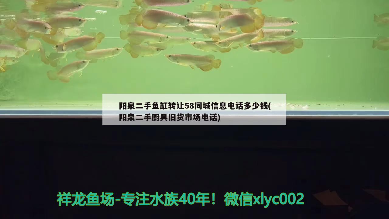 阳泉二手鱼缸转让58同城信息电话多少钱(阳泉二手厨具旧货市场电话) 鱼粮鱼药