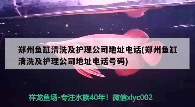 郑州鱼缸清洗及护理公司地址电话(郑州鱼缸清洗及护理公司地址电话号码) 养鱼知识