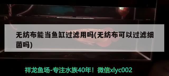 无纺布能当鱼缸过滤用吗(无纺布可以过滤细菌吗)