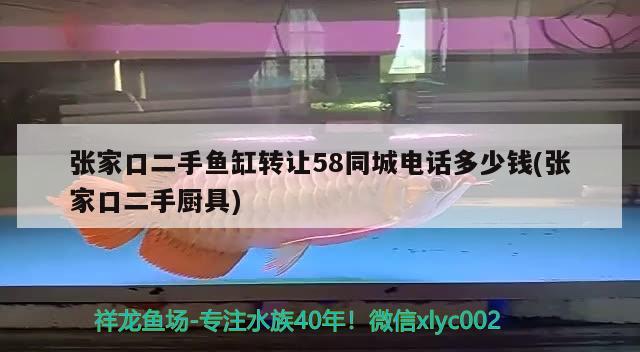 张家口二手鱼缸转让58同城电话多少钱(张家口二手厨具)