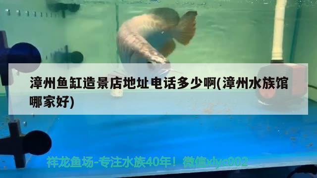 漳州鱼缸造景店地址电话多少啊(漳州水族馆哪家好)