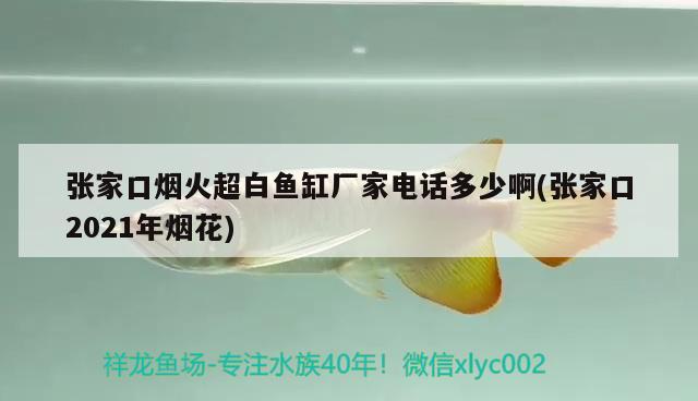 张家口烟火超白鱼缸厂家电话多少啊(张家口2021年烟花) 龙鱼批发