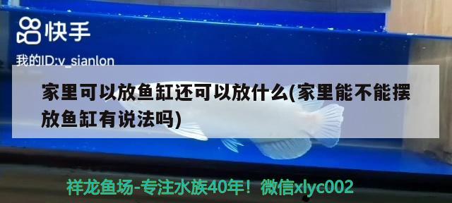 家里可以放鱼缸还可以放什么(家里能不能摆放鱼缸有说法吗) 鱼缸/水族箱