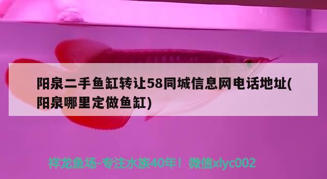 阳泉二手鱼缸转让58同城信息网电话地址(阳泉哪里定做鱼缸) 魟鱼百科