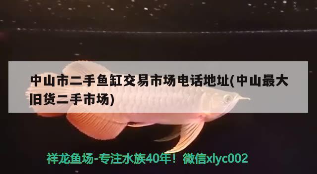 中山市二手鱼缸交易市场电话地址(中山最大旧货二手市场) 暹罗巨鲤 第2张