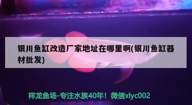 银川鱼缸改造厂家地址在哪里啊(银川鱼缸器材批发) 和尚鱼