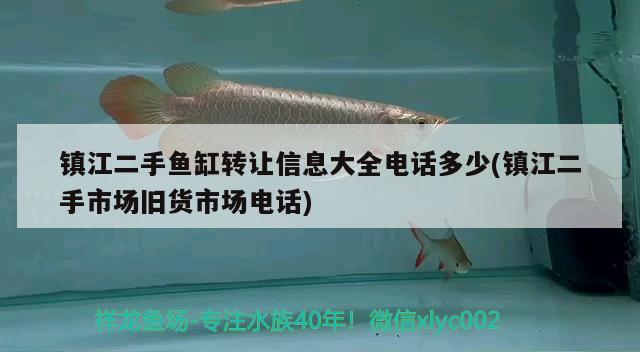 镇江二手鱼缸转让信息大全电话多少(镇江二手市场旧货市场电话)