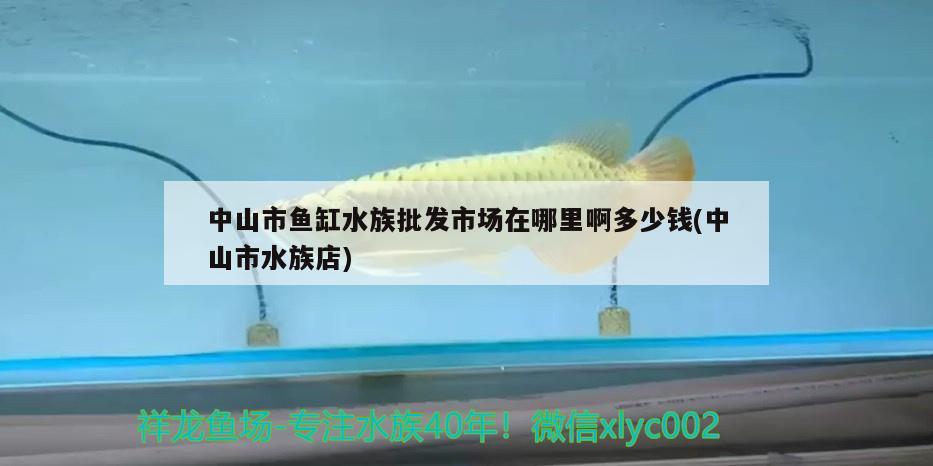 中山市鱼缸水族批发市场在哪里啊多少钱(中山市水族店)