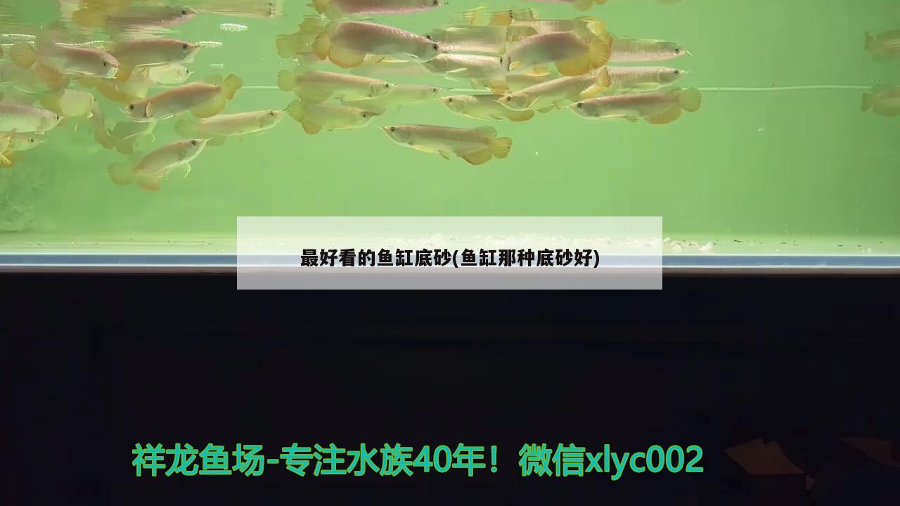 最好看的鱼缸底砂(鱼缸那种底砂好) 战车红龙鱼