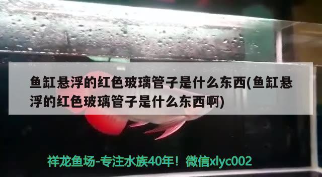 鱼缸悬浮的红色玻璃管子是什么东西(鱼缸悬浮的红色玻璃管子是什么东西啊)