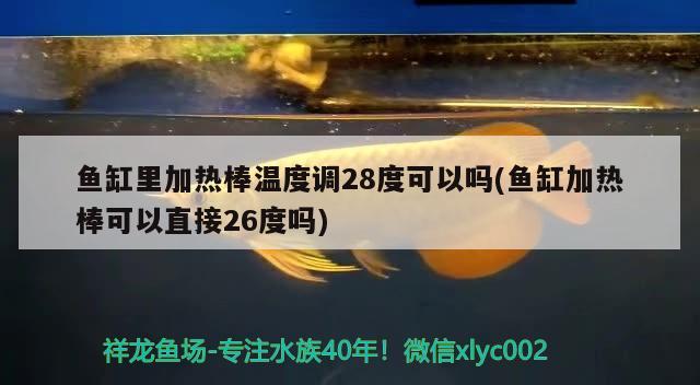 鱼缸里加热棒温度调28度可以吗(鱼缸加热棒可以直接26度吗)