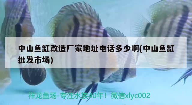 中山鱼缸改造厂家地址电话多少啊(中山鱼缸批发市场) 养鱼知识