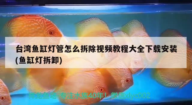 台湾鱼缸灯管怎么拆除视频教程大全下载安装(鱼缸灯拆卸)