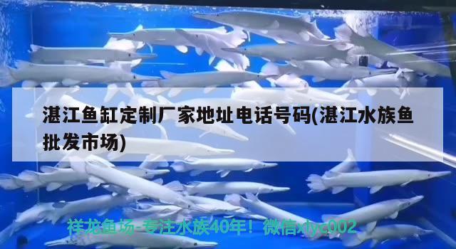 湛江鱼缸定制厂家地址电话号码(湛江水族鱼批发市场) 金三间鱼