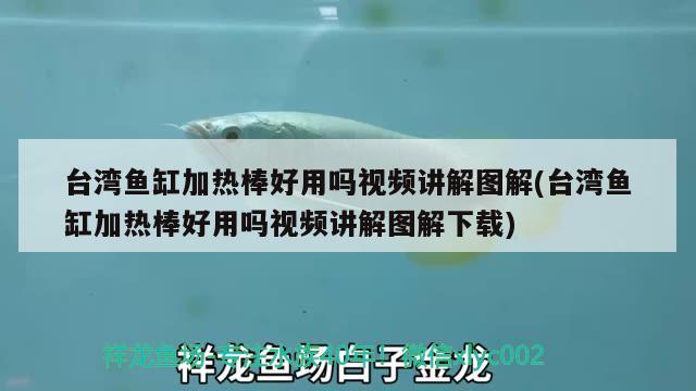 台湾鱼缸加热棒好用吗视频讲解图解(台湾鱼缸加热棒好用吗视频讲解图解下载)