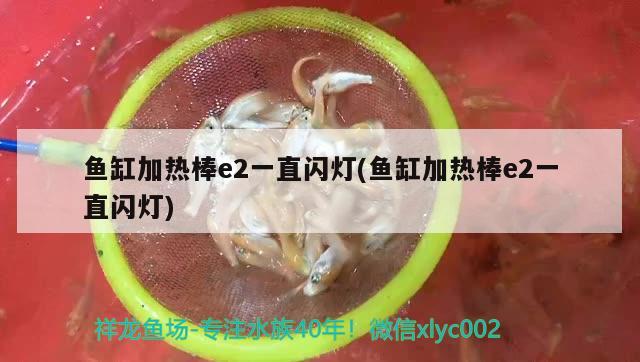 鱼缸加热棒e2一直闪灯(鱼缸加热棒e2一直闪灯)