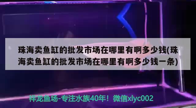 珠海卖鱼缸的批发市场在哪里有啊多少钱(珠海卖鱼缸的批发市场在哪里有啊多少钱一条) 黑影道人鱼