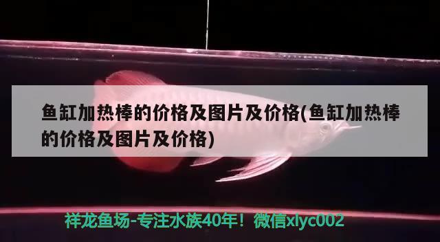 鱼缸加热棒的价格及图片及价格(鱼缸加热棒的价格及图片及价格)