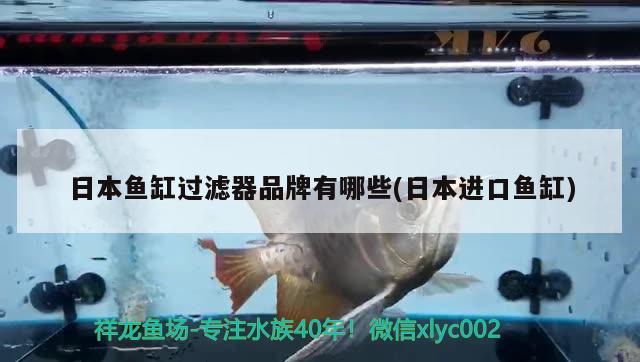 日本鱼缸过滤器品牌有哪些(日本进口鱼缸) 翡翠凤凰鱼
