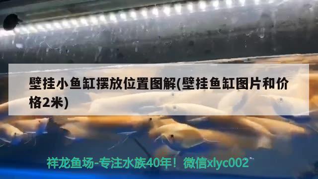 壁挂小鱼缸摆放位置图解(壁挂鱼缸图片和价格2米)