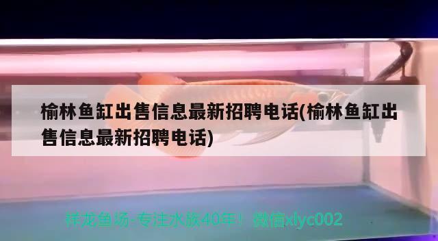 榆林鱼缸出售信息最新招聘电话(榆林鱼缸出售信息最新招聘电话)