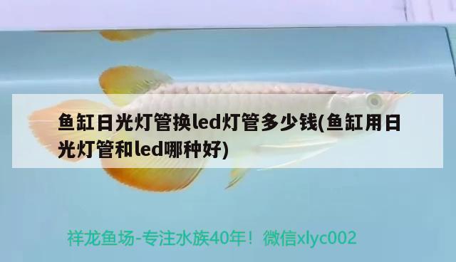 鱼缸日光灯管换led灯管多少钱(鱼缸用日光灯管和led哪种好)