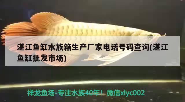 湛江鱼缸水族箱生产厂家电话号码查询(湛江鱼缸批发市场)