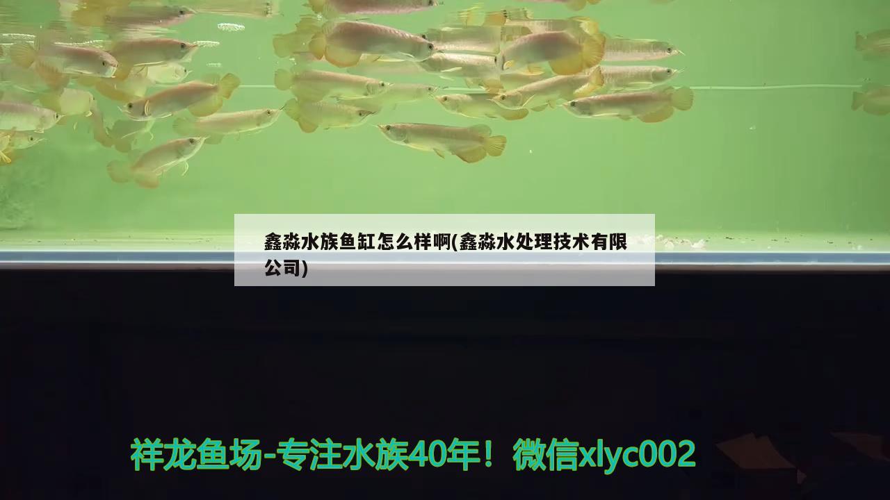 鑫淼水族鱼缸怎么样啊(鑫淼水处理技术有限公司) 充氧泵