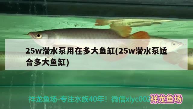 25w潜水泵用在多大鱼缸(25w潜水泵适合多大鱼缸)