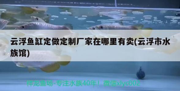 云浮鱼缸定做定制厂家在哪里有卖(云浮市水族馆) 罗汉鱼批发