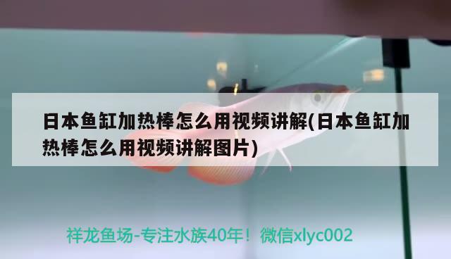 日本鱼缸加热棒怎么用视频讲解(日本鱼缸加热棒怎么用视频讲解图片)