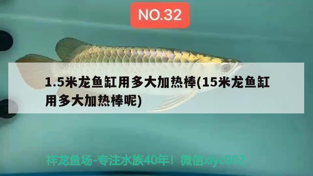 1.5米龙鱼缸用多大加热棒(15米龙鱼缸用多大加热棒呢)