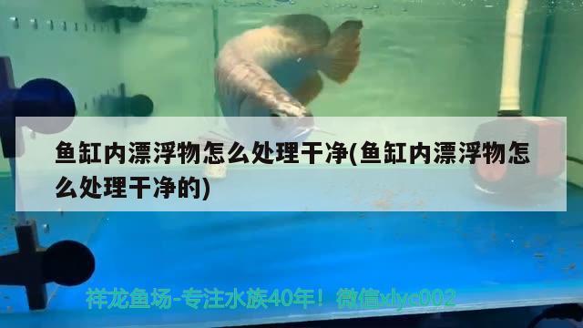 鱼缸内漂浮物怎么处理干净(鱼缸内漂浮物怎么处理干净的)