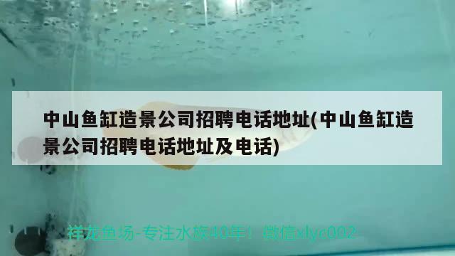 中山鱼缸造景公司招聘电话地址(中山鱼缸造景公司招聘电话地址及电话) 大正锦鲤鱼