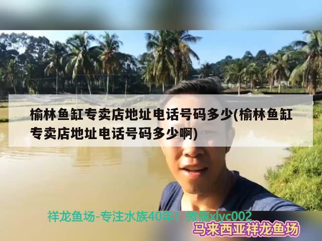 榆林鱼缸专卖店地址电话号码多少(榆林鱼缸专卖店地址电话号码多少啊)