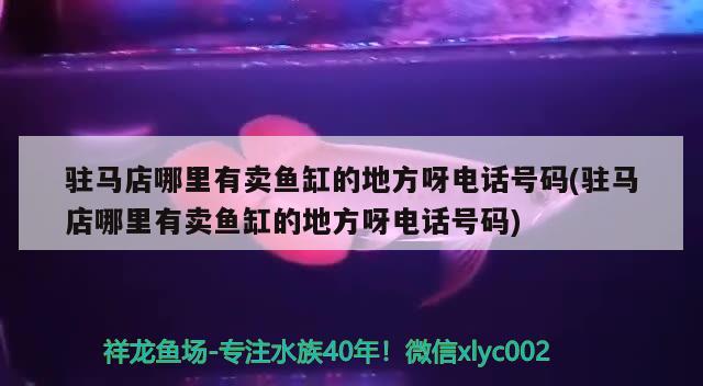 驻马店哪里有卖鱼缸的地方呀电话号码(驻马店哪里有卖鱼缸的地方呀电话号码)