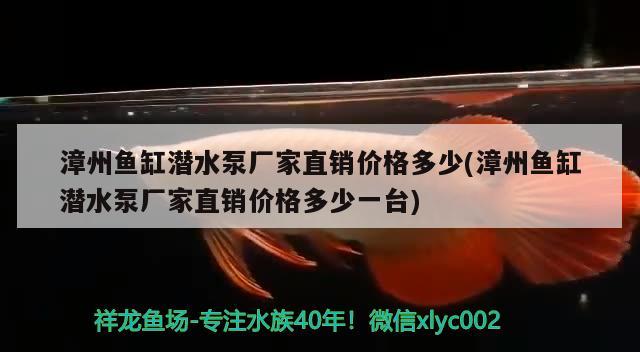 漳州鱼缸潜水泵厂家直销价格多少(漳州鱼缸潜水泵厂家直销价格多少一台)