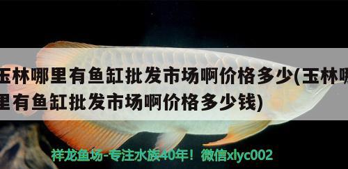 玉林哪里有鱼缸批发市场啊价格多少(玉林哪里有鱼缸批发市场啊价格多少钱) 养鱼知识