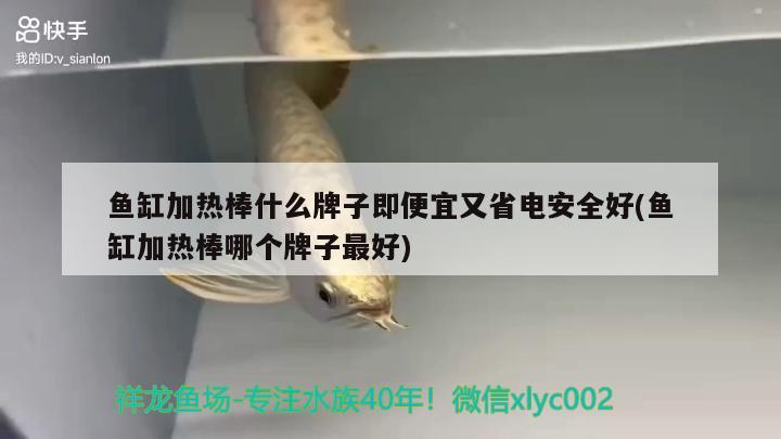 鱼缸加热棒什么牌子即便宜又省电安全好(鱼缸加热棒哪个牌子最好) 锦鲤鱼