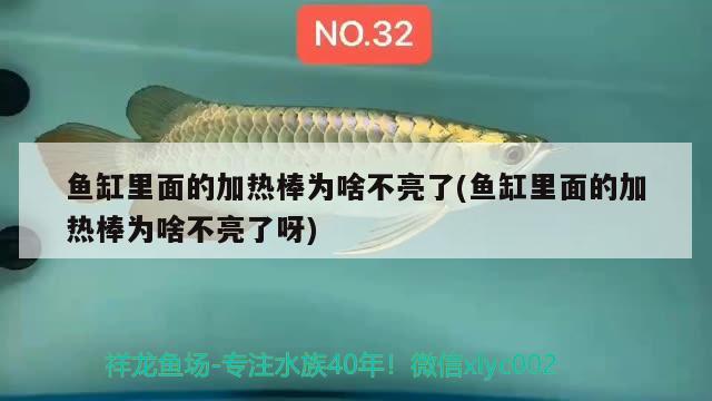 鱼缸里面的加热棒为啥不亮了(鱼缸里面的加热棒为啥不亮了呀) 祥龙赫舞红龙鱼