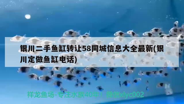 银川二手鱼缸转让58同城信息大全最新(银川定做鱼缸电话)