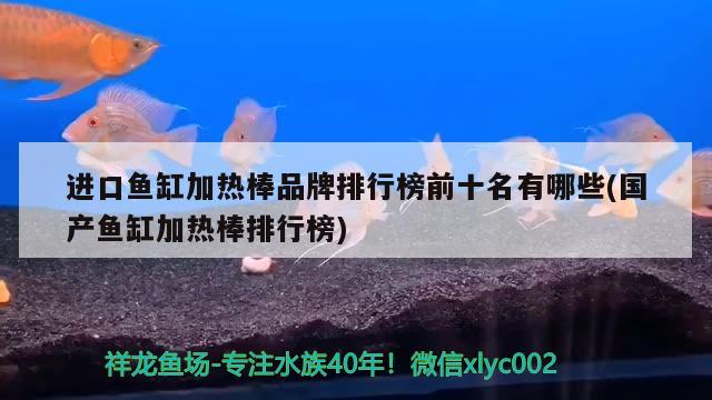 进口鱼缸加热棒品牌排行榜前十名有哪些(国产鱼缸加热棒排行榜) 观赏鱼企业目录