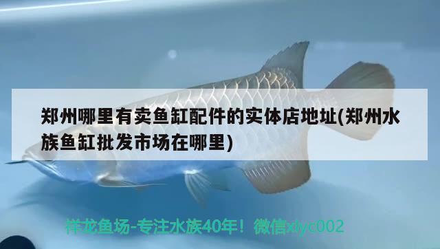 郑州哪里有卖鱼缸配件的实体店地址(郑州水族鱼缸批发市场在哪里)