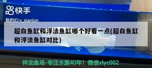 超白鱼缸和浮法鱼缸哪个好看一点(超白鱼缸和浮法鱼缸对比) 定时器/自控系统