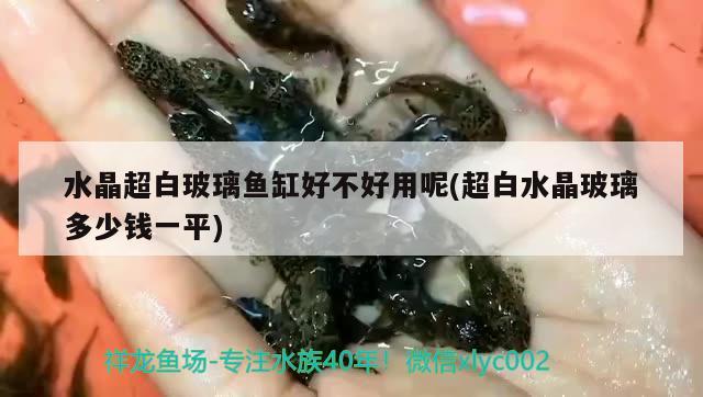 水晶超白玻璃鱼缸好不好用呢(超白水晶玻璃多少钱一平) 财神鹦鹉鱼